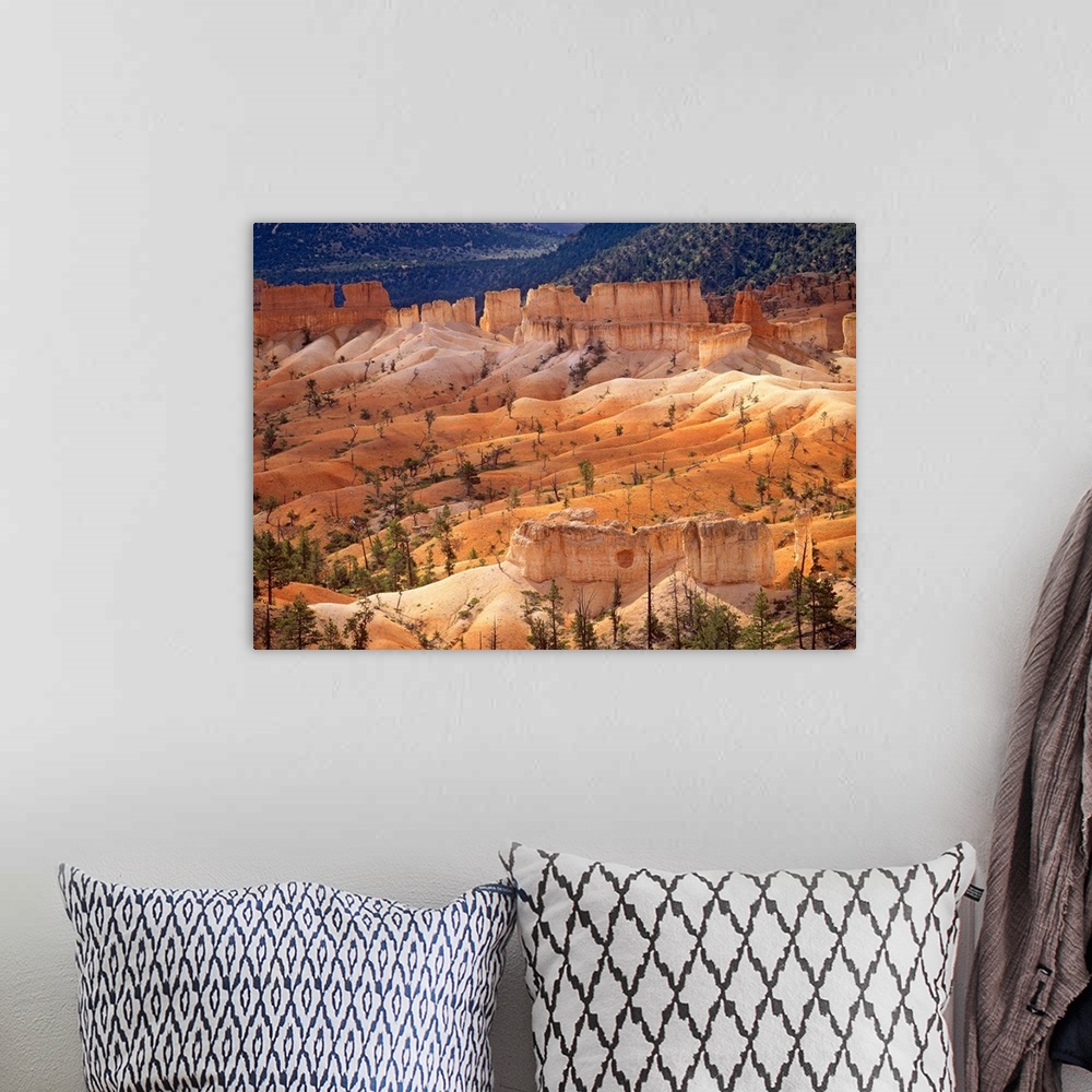 A bohemian room featuring Landscape of eroded formations called hoodoos and fins, Bryce Canyon National Park, Utah
