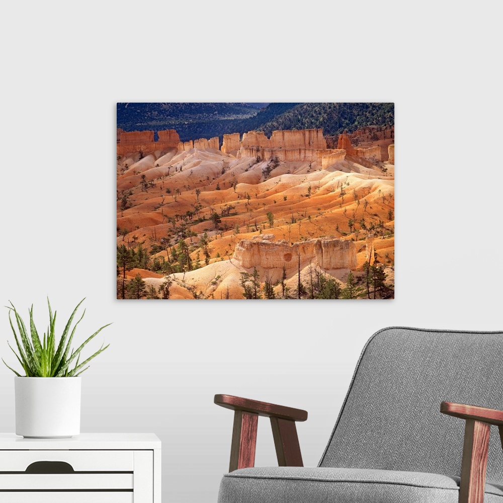 A modern room featuring Landscape of eroded formations called hoodoos and fins, Bryce Canyon National Park, Utah
