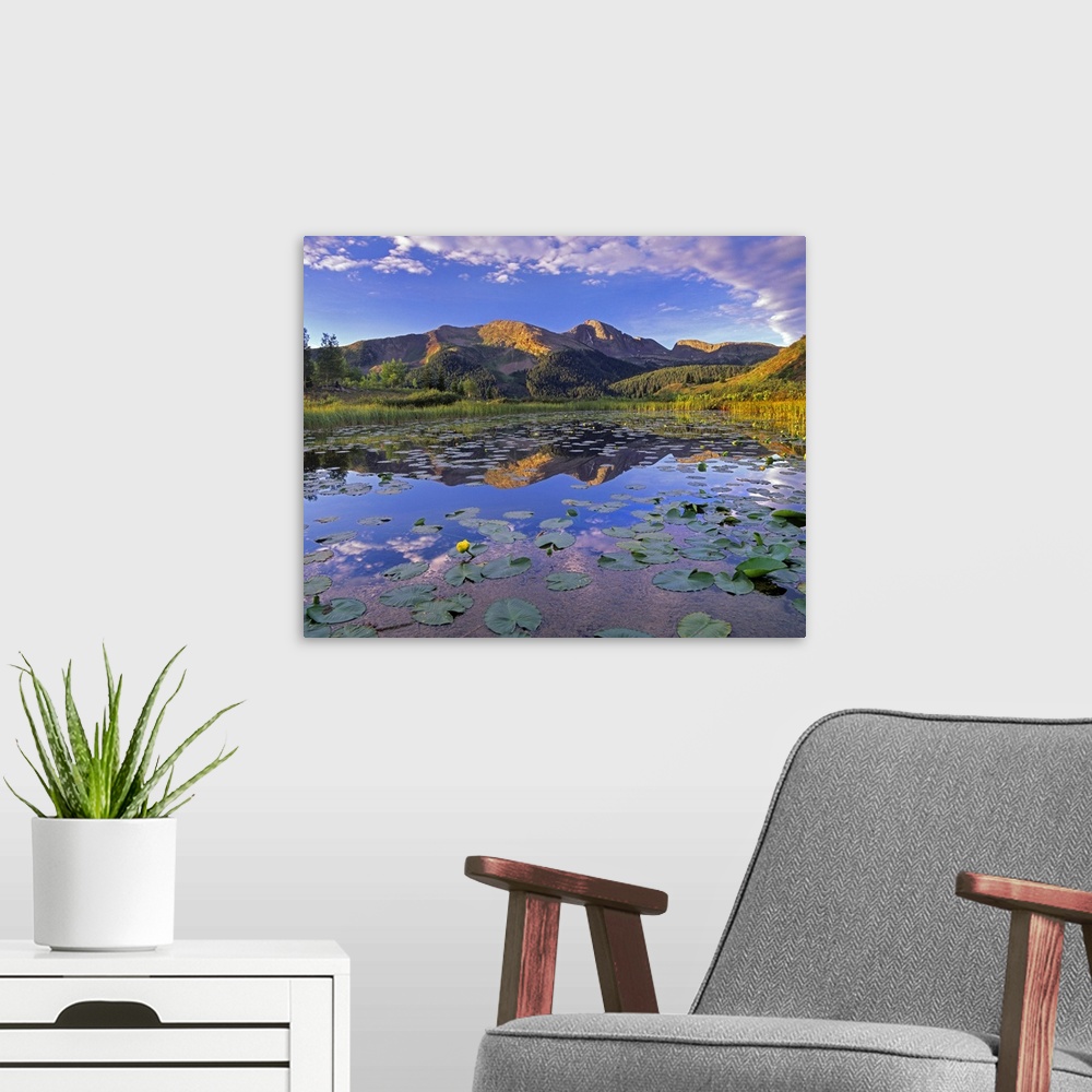 A modern room featuring Small lily pads lay on the surface of water where there is a reflection of mountains from the bac...