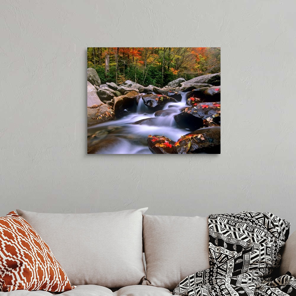 A bohemian room featuring Big photograph shows the fast moving water of a stream in the Southeastern United States as it ma...