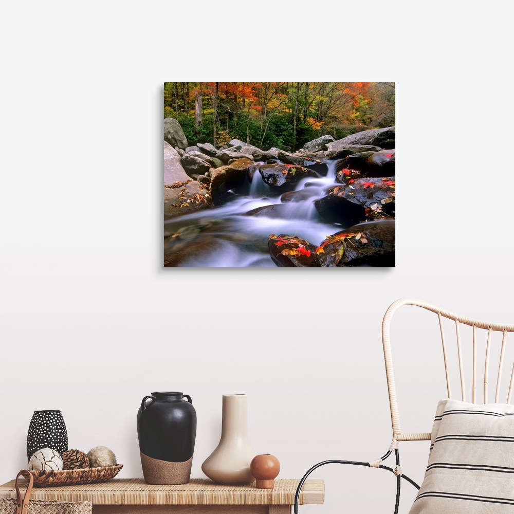 A farmhouse room featuring Big photograph shows the fast moving water of a stream in the Southeastern United States as it ma...