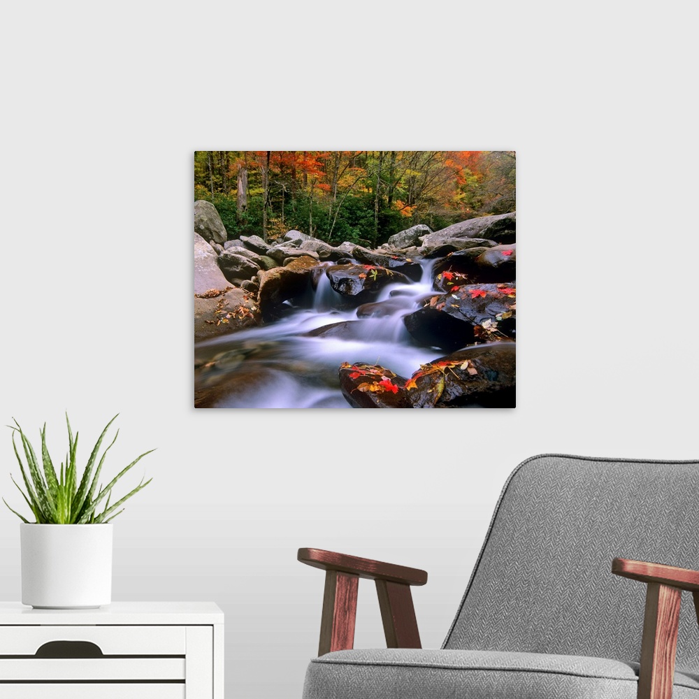 A modern room featuring Big photograph shows the fast moving water of a stream in the Southeastern United States as it ma...
