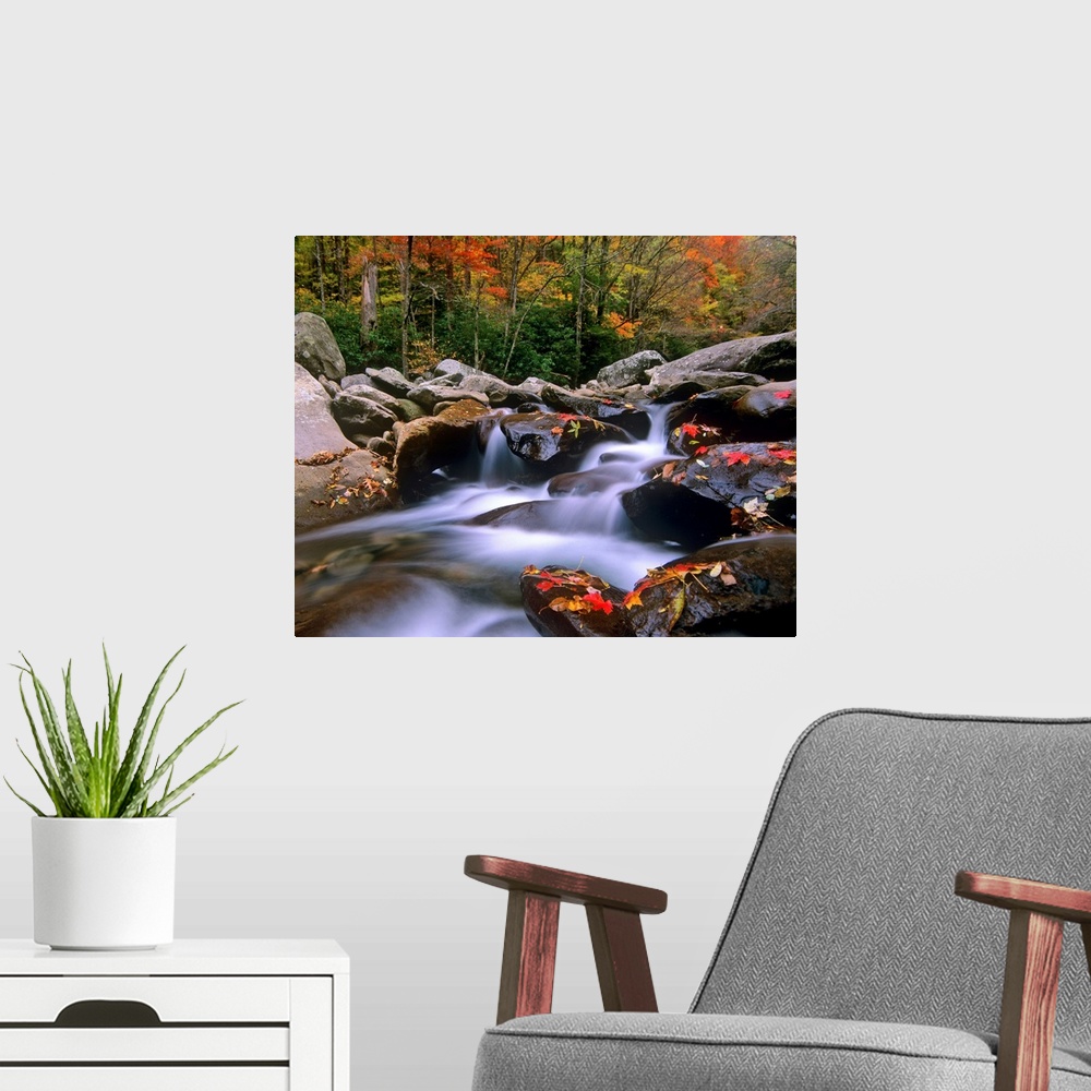 A modern room featuring Big photograph shows the fast moving water of a stream in the Southeastern United States as it ma...