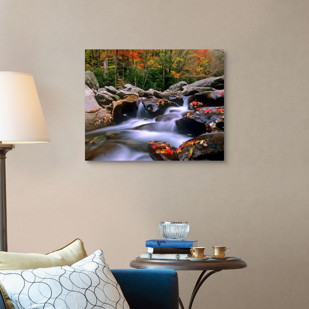 A traditional room featuring Big photograph shows the fast moving water of a stream in the Southeastern United States as it ma...