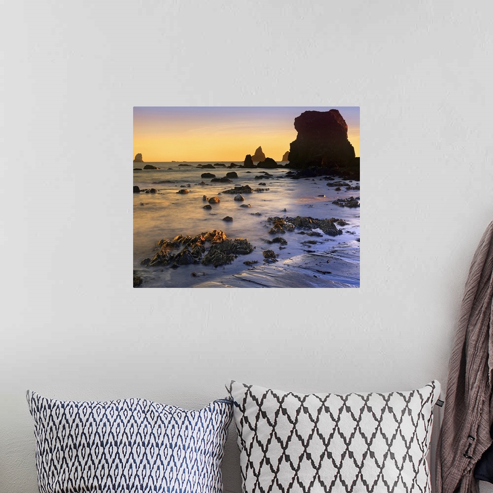 A bohemian room featuring Lone Beach at sunset, Oregon