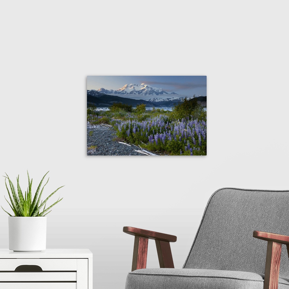 A modern room featuring MT. St. Elias (18,008 ft (5,489 m)), the third highest peak in north America on the US-Canada bor...