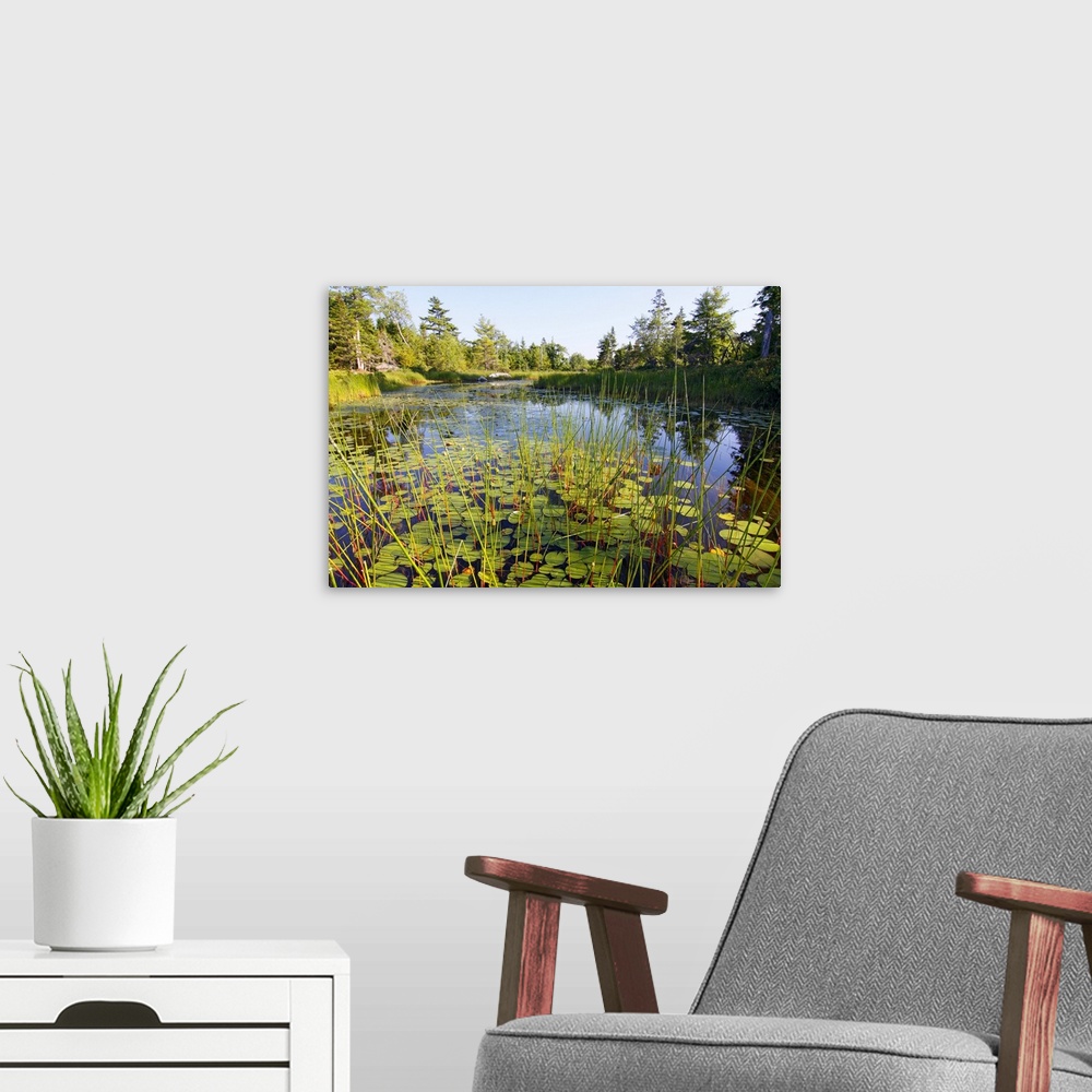 A modern room featuring Marsh with reeds and lily pads surrounding a pond, West Stoney Lake, Nova Scotia, Canada