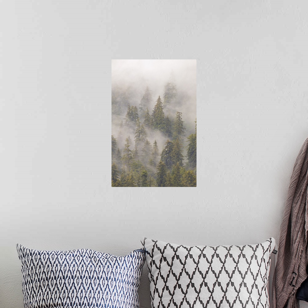 A bohemian room featuring Mist in Tongass National Forest, Juneau, Alaska