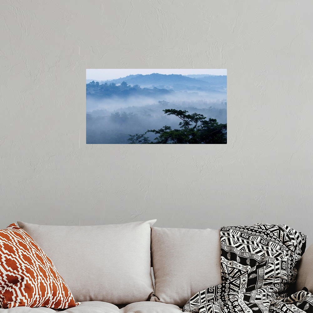 A bohemian room featuring Mist over tropical rainforest, Kibale National Park, western Uganda.