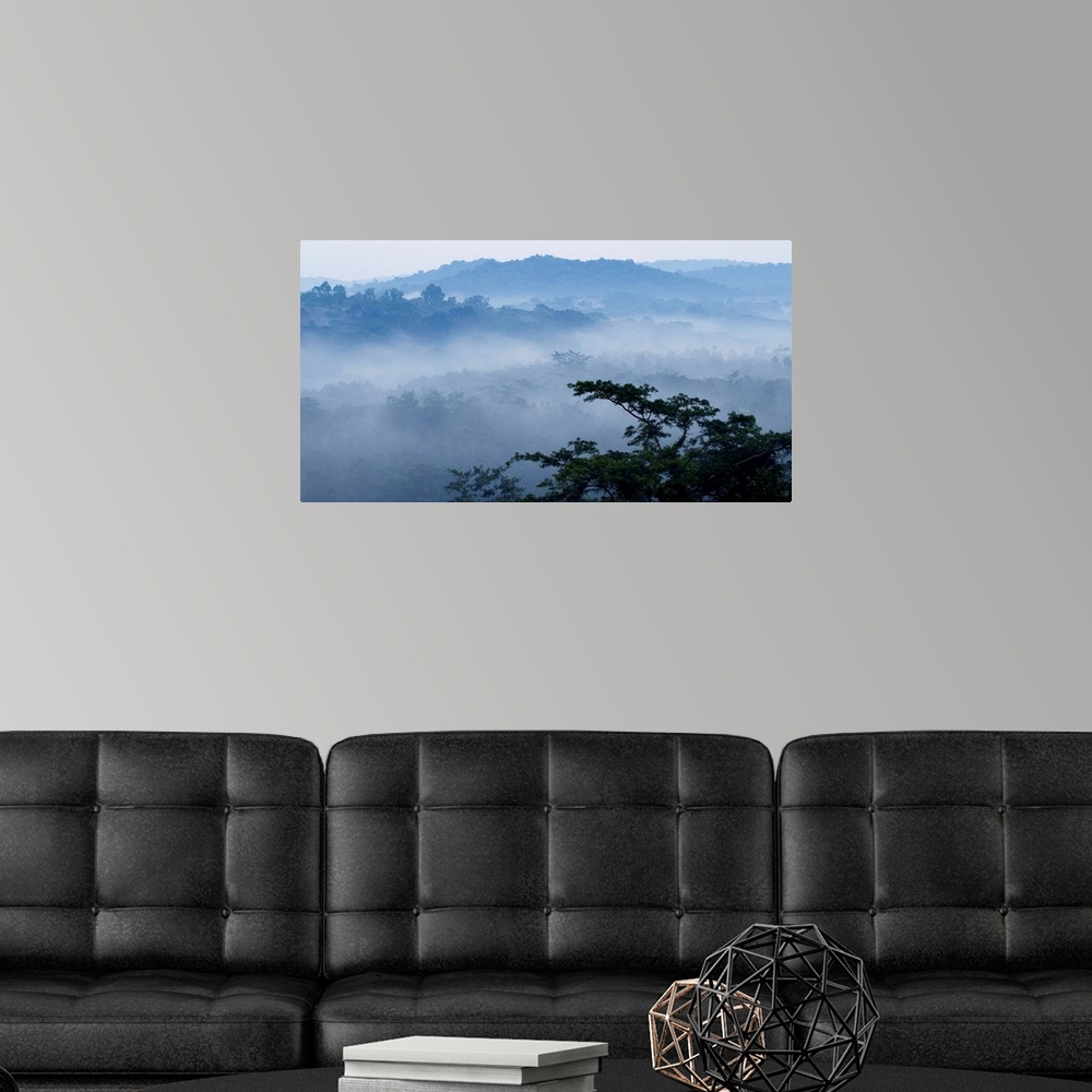A modern room featuring Mist over tropical rainforest, Kibale National Park, western Uganda.