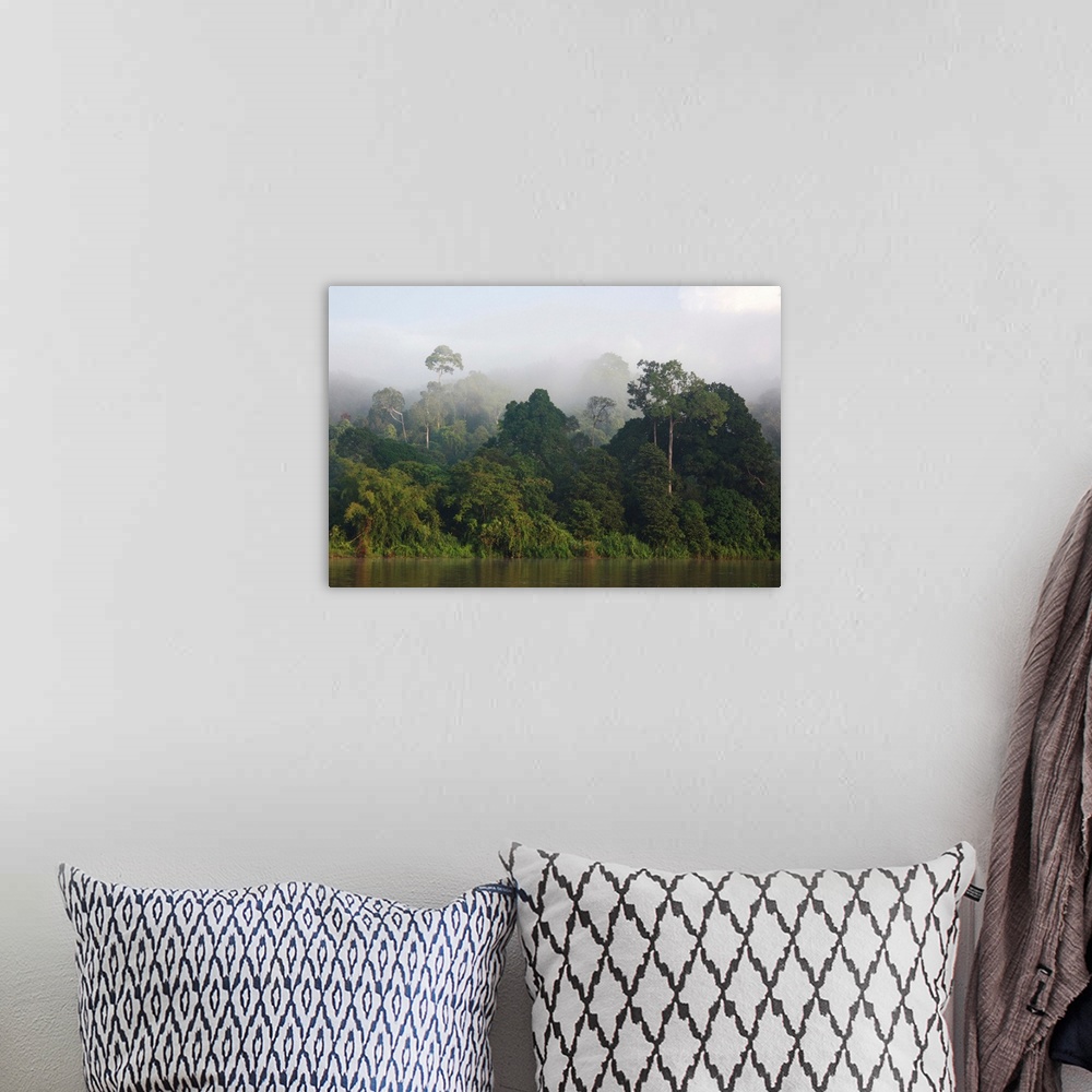 A bohemian room featuring Misty rainforest along the Kinabatangan River, Sabah, Borneo, Malaysia