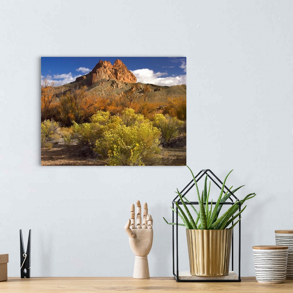 A bohemian room featuring Mitten Rock, New Mexico