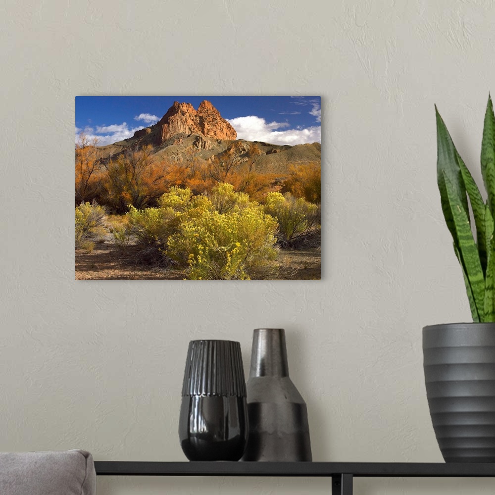 A modern room featuring Mitten Rock, New Mexico