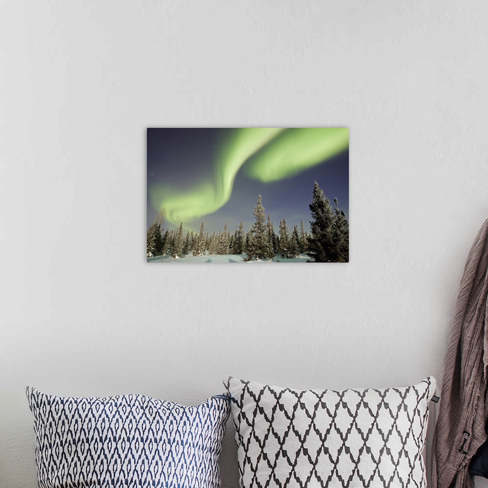 A bohemian room featuring Northern lights or aurora borealis over boreal forest, North America