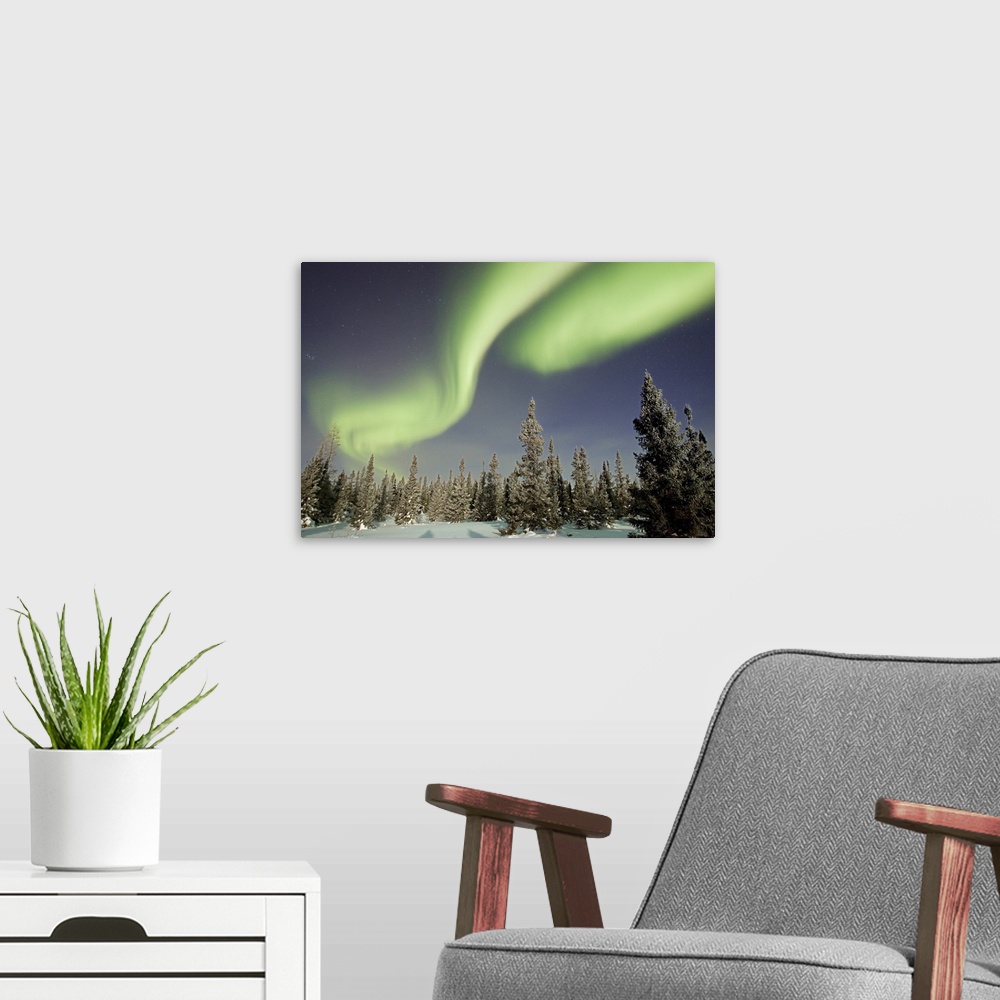 A modern room featuring Northern lights or aurora borealis over boreal forest, North America