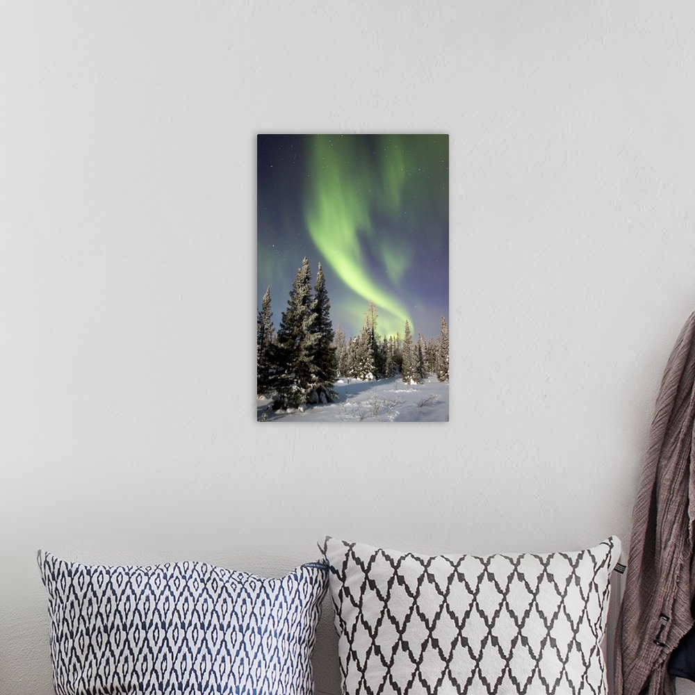 A bohemian room featuring Northern lights over boreal forest, North America
