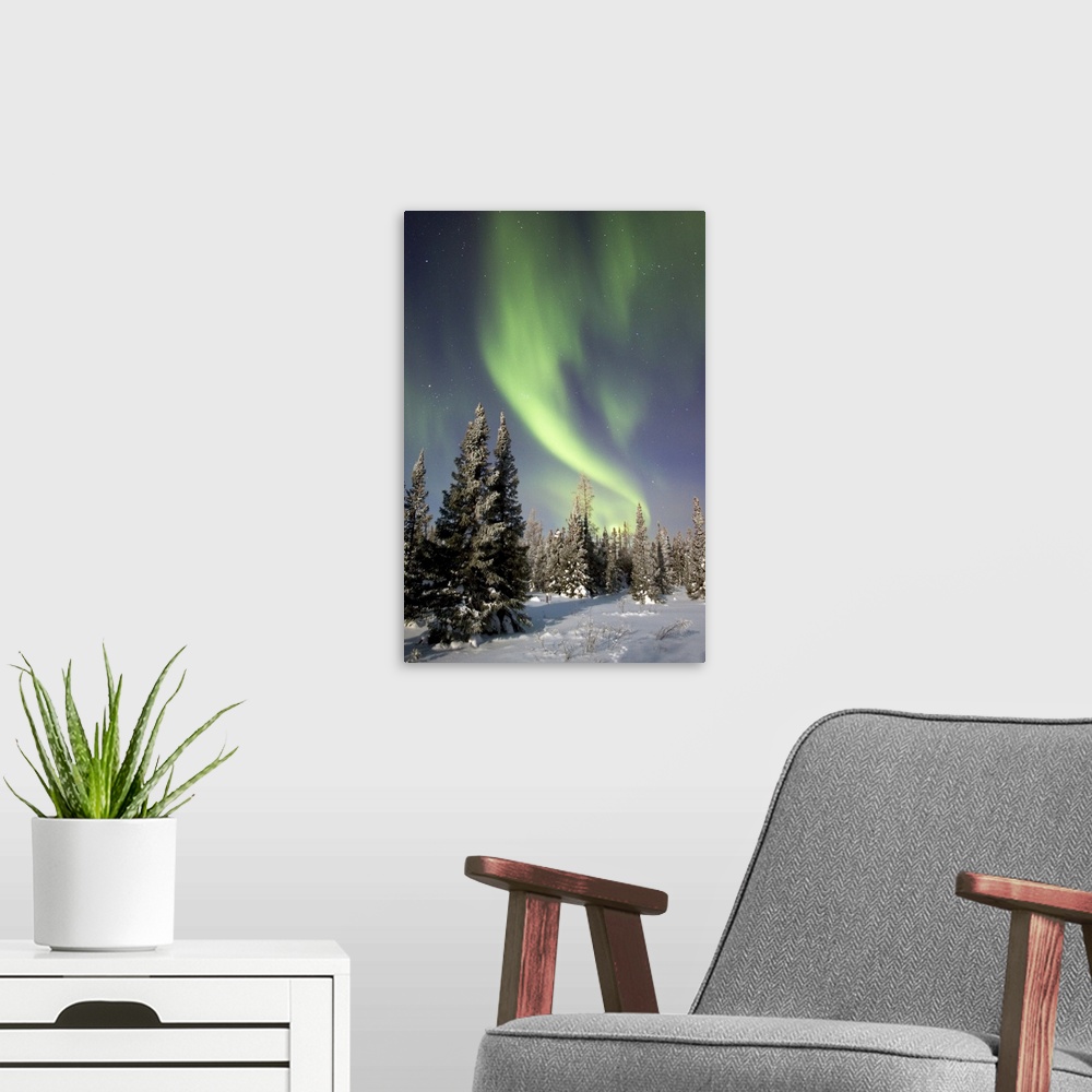 A modern room featuring Northern lights over boreal forest, North America