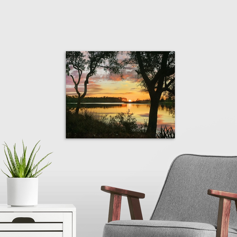 A modern room featuring Oaks at sunrise, Ochlockonee River State Park, Florida