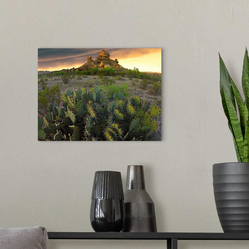 A modern room featuring Opuntia (Opuntia sp) and hoodoos, Big Bend National Park, Chihuahuan Desert, Texas