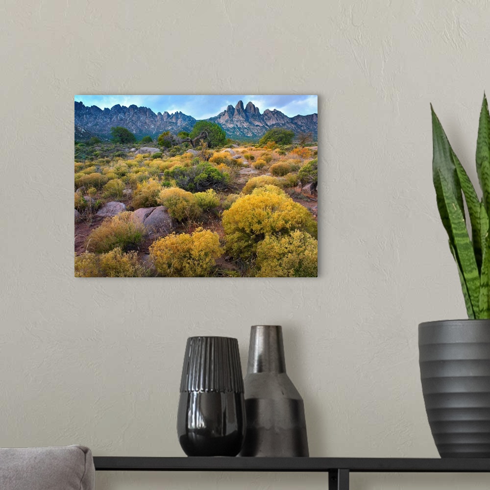 A modern room featuring Organ Mountains, Chihuahuan Desert, New Mexico