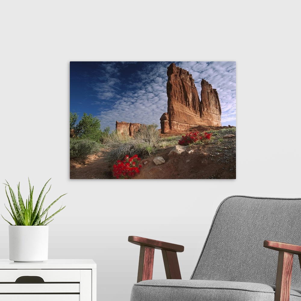 A modern room featuring Paintbrush (Castilleja sp) and the Organ Rock, Arches National Park, Utah