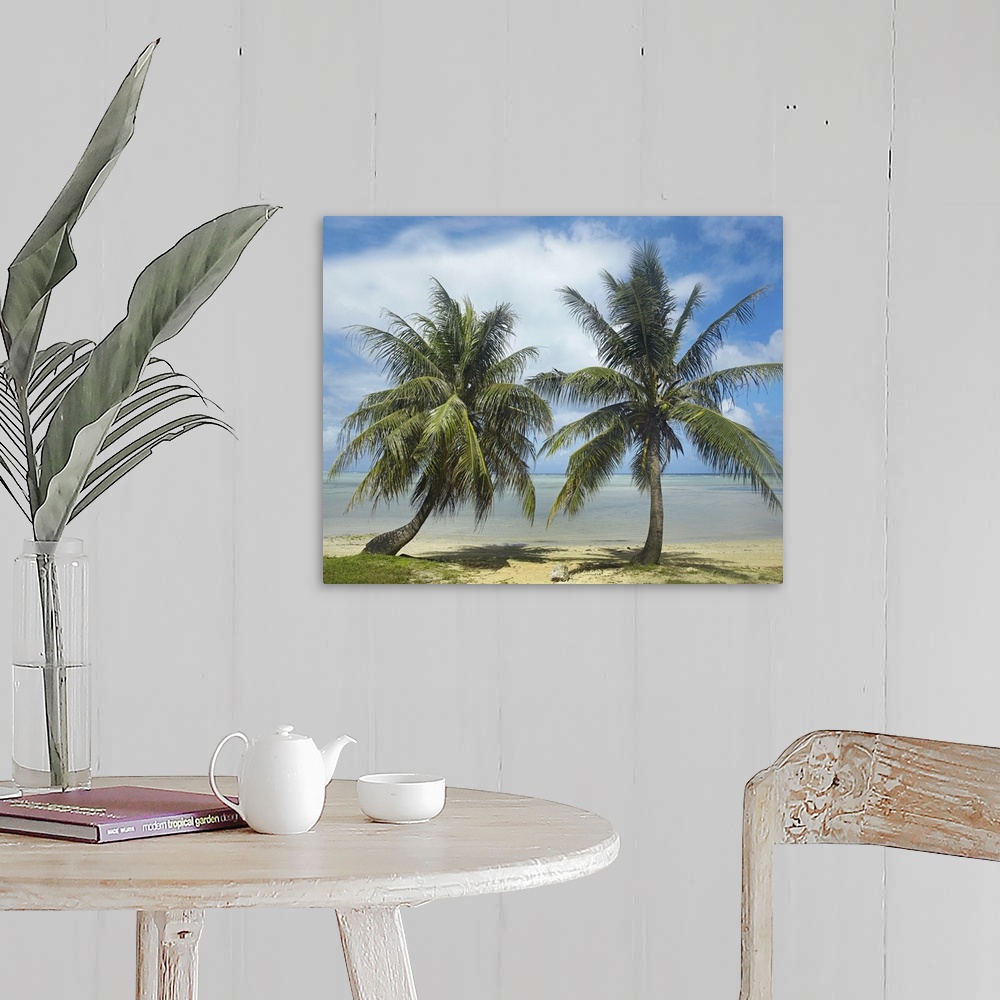 A farmhouse room featuring Two trees growing in the sand of a tropical beach in this landscape photograph.