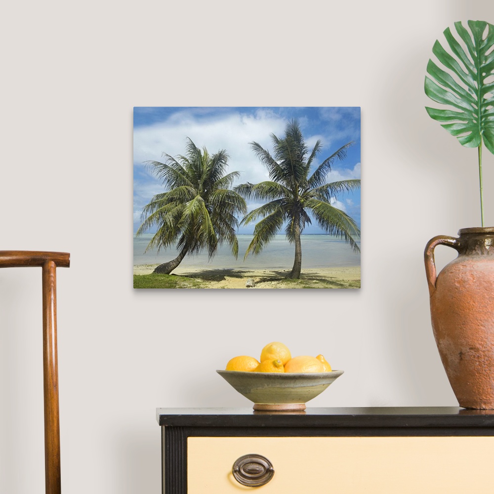 A traditional room featuring Two trees growing in the sand of a tropical beach in this landscape photograph.