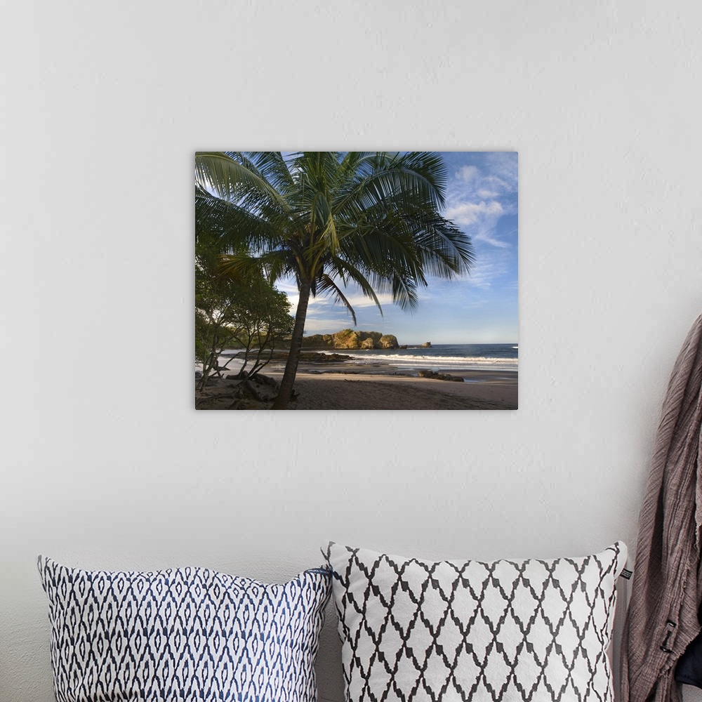 A bohemian room featuring Palm trees line Pelada Beach, Costa Rica