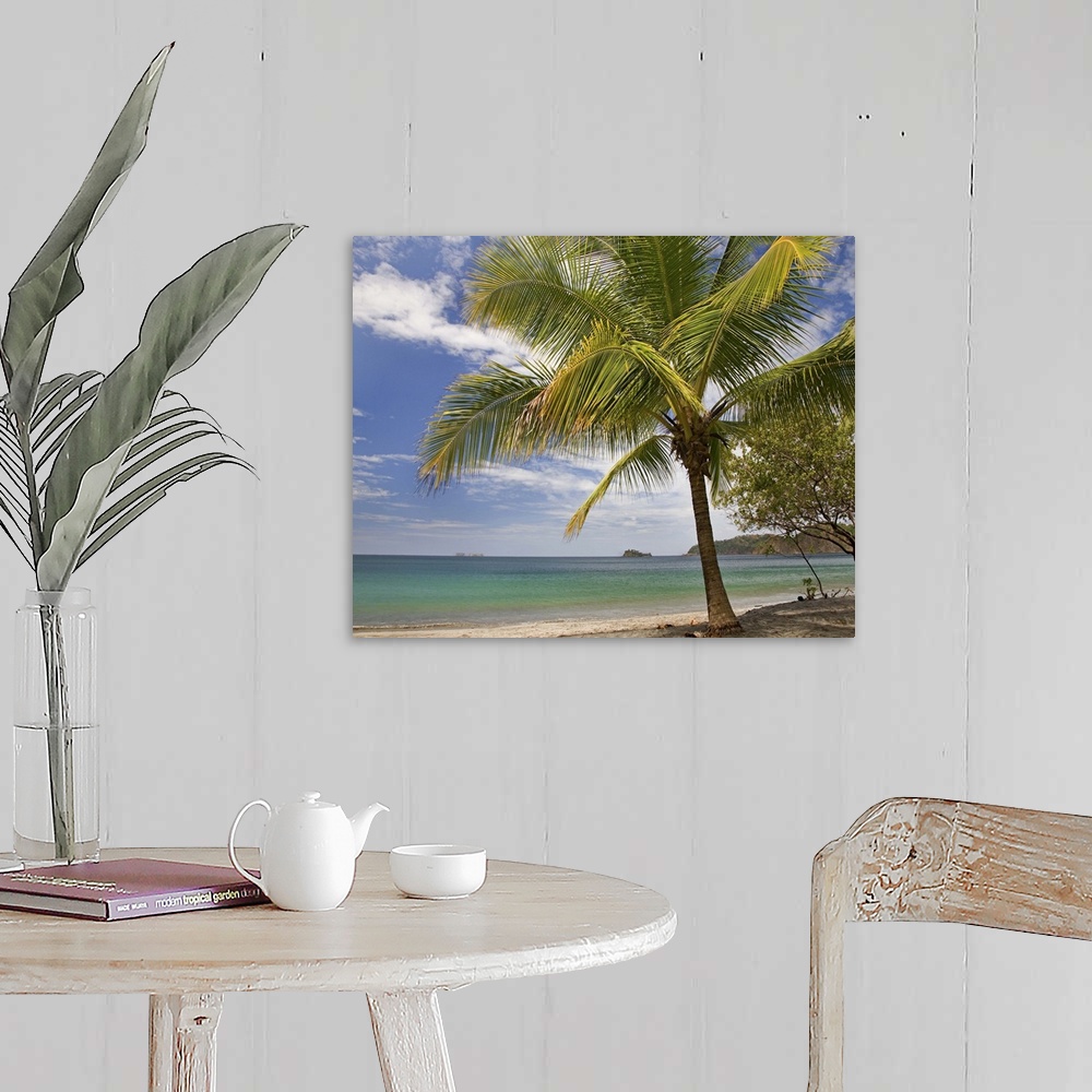 A farmhouse room featuring Palm trees line Penca Beach, Costa Rica