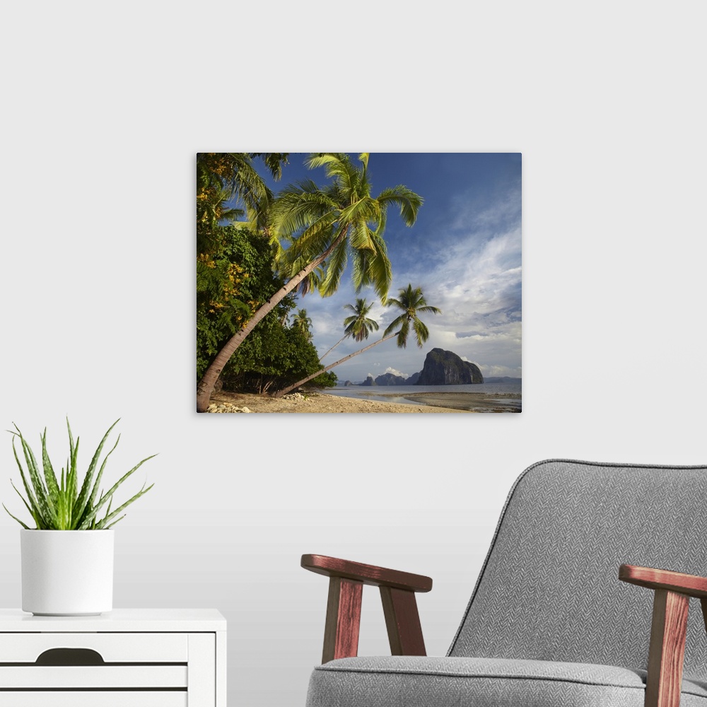 A modern room featuring Palm trees, Pinagbuyutan Island, Palawan, Philippines