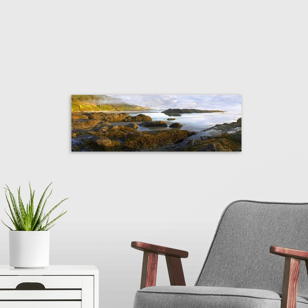A modern room featuring Panoramic photograph on a big wall hanging of an uneven surface along Neptune Beach at low tide, ...