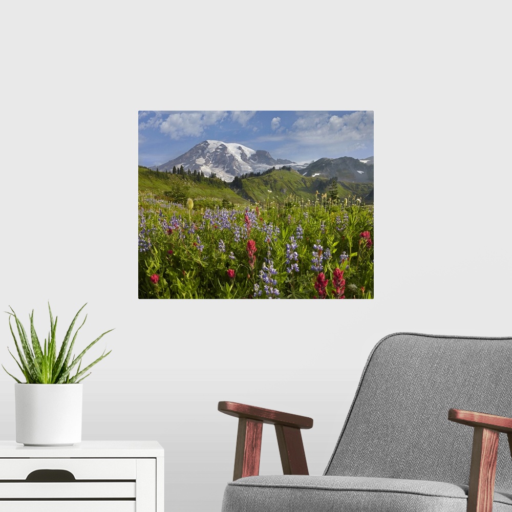 A modern room featuring Paradise Meadow and Mount Rainier, Mount Rainier National Park, Washington