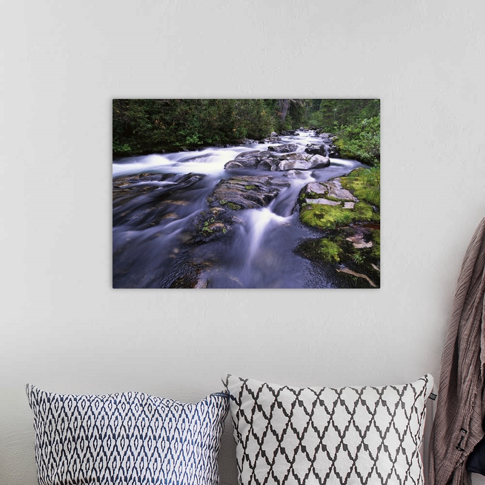 A bohemian room featuring Paradise River, Mt Rainier National Park, Washington