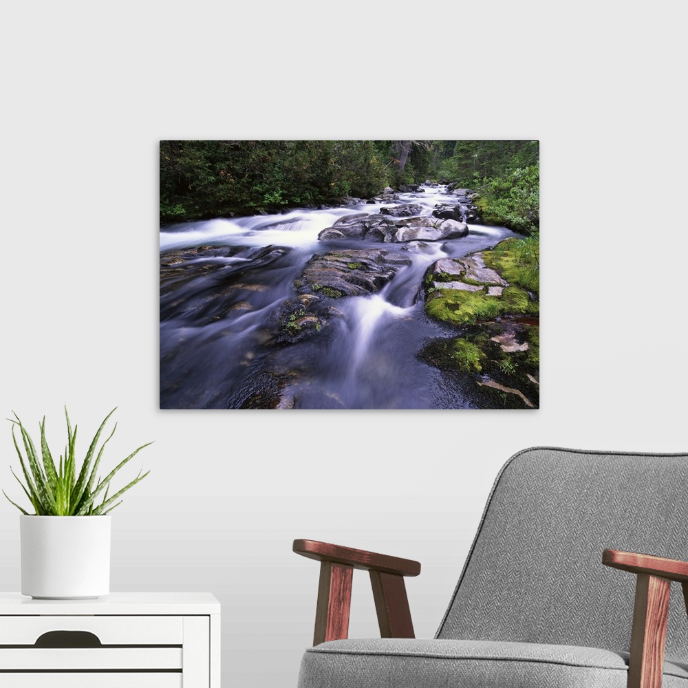 A modern room featuring Paradise River, Mt Rainier National Park, Washington