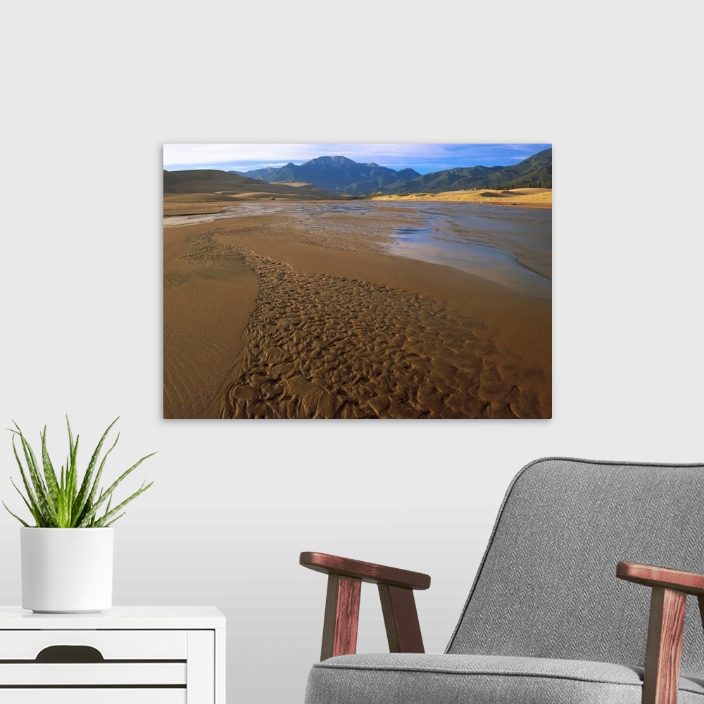 A modern room featuring Patterns in stream bed, Great Sand Dunes National Monument, Colorado