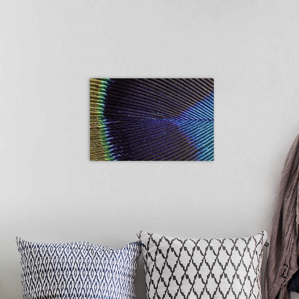 A bohemian room featuring Wall art of the up close view of a peacock feather.