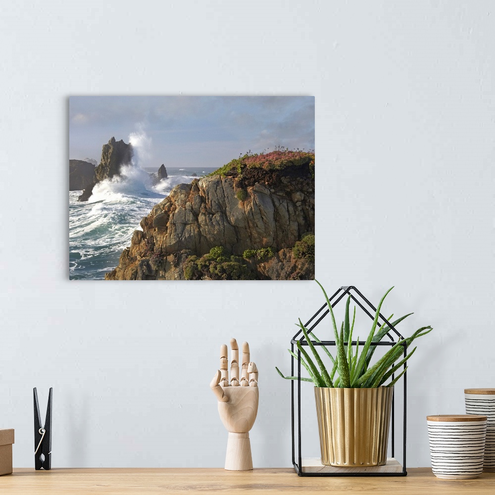 A bohemian room featuring Pounding waves and rocky shoreline at Piedras Blancas, California