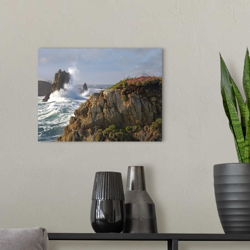 A modern room featuring Pounding waves and rocky shoreline at Piedras Blancas, California