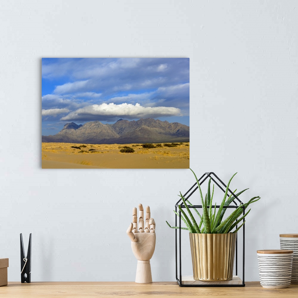 A bohemian room featuring Providence Mountains, Kelso Dunes, Mojave National Preserve, California