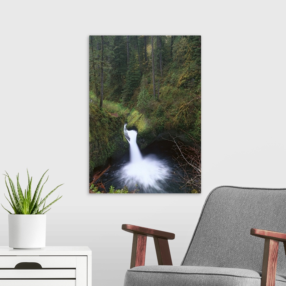 A modern room featuring Punchbowl Falls at Eagle Creek, Columbia River Gorge, Oregon