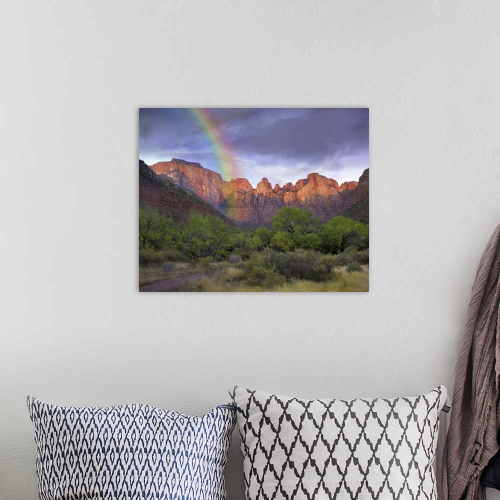 A bohemian room featuring Rainbow at Towers of the Virgin, Zion National Park, Utah