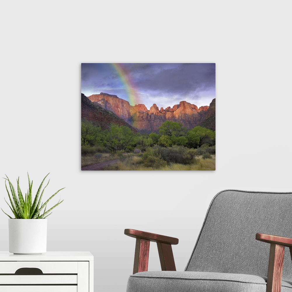 A modern room featuring Rainbow at Towers of the Virgin, Zion National Park, Utah