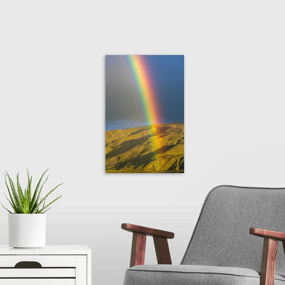 A modern room featuring Rainbow over valley, Andes, Los Glaciares National Park, Patagonia, Argentina