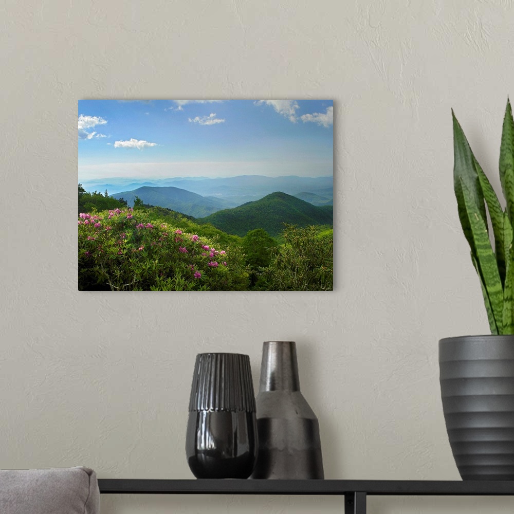 A modern room featuring Photograph of tree tops with rows of mountain silhouettes fading into the mist under a cloudy sky.