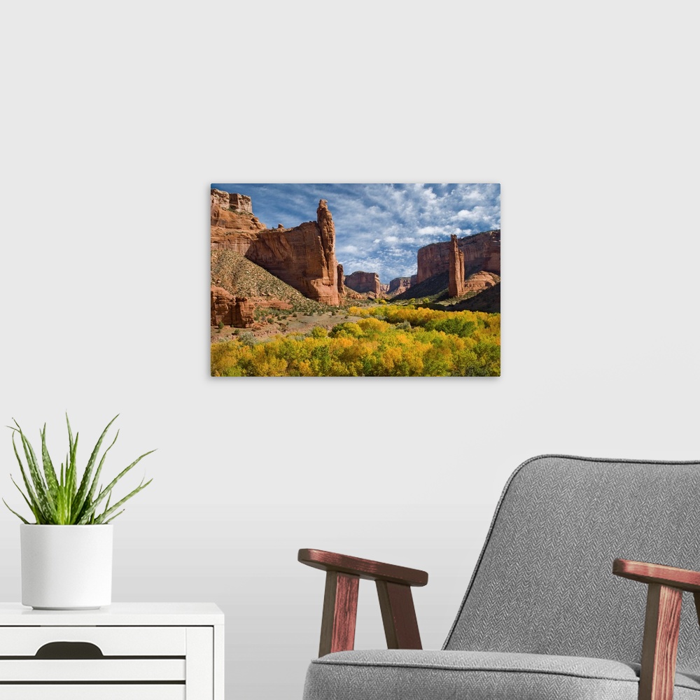 A modern room featuring River valley with spider rock, Canyon de Chelly National Monument, Arizona
