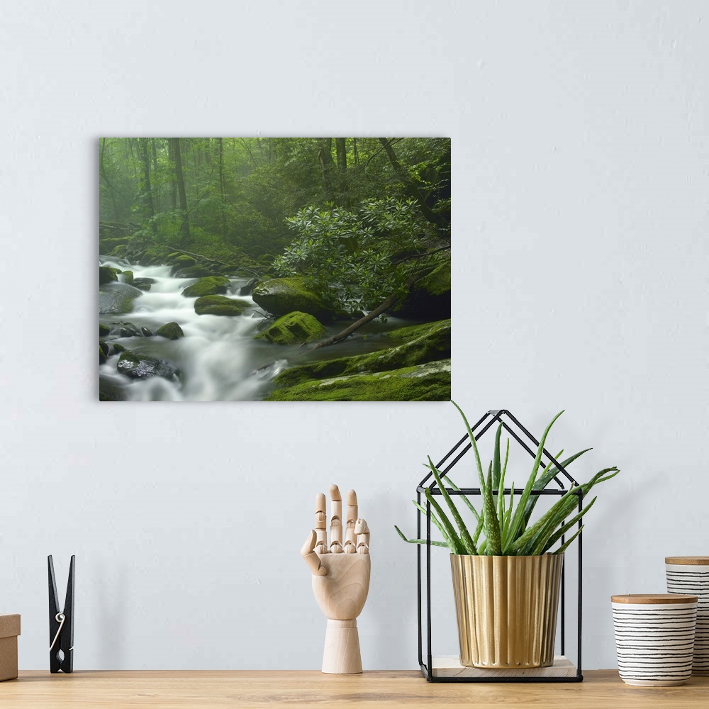 A bohemian room featuring Roaring Fork River flowing through forest in Great Smoky Mountains National Park