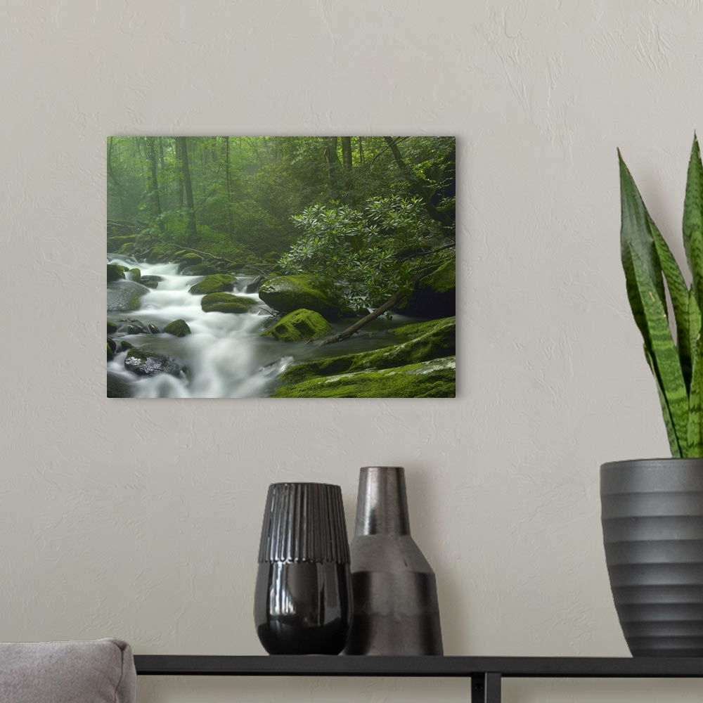 A modern room featuring Roaring Fork River flowing through forest in Great Smoky Mountains National Park