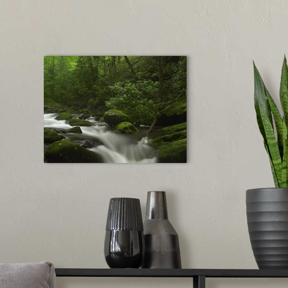 A modern room featuring Roaring Fork River flowing through the Great Smoky Mountains National Park, Tennessee