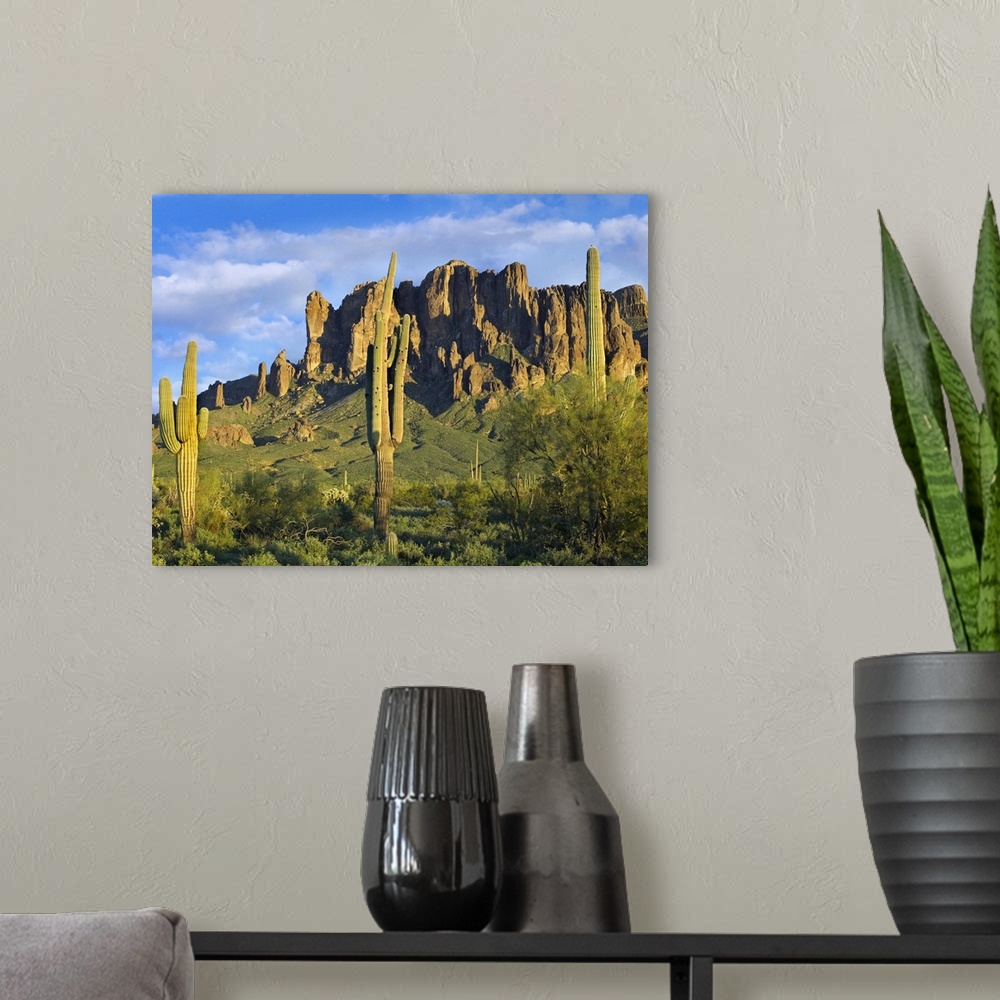 A modern room featuring Saguaro cacti and Superstition Mountains at Lost Dutchman State Park, Arizona