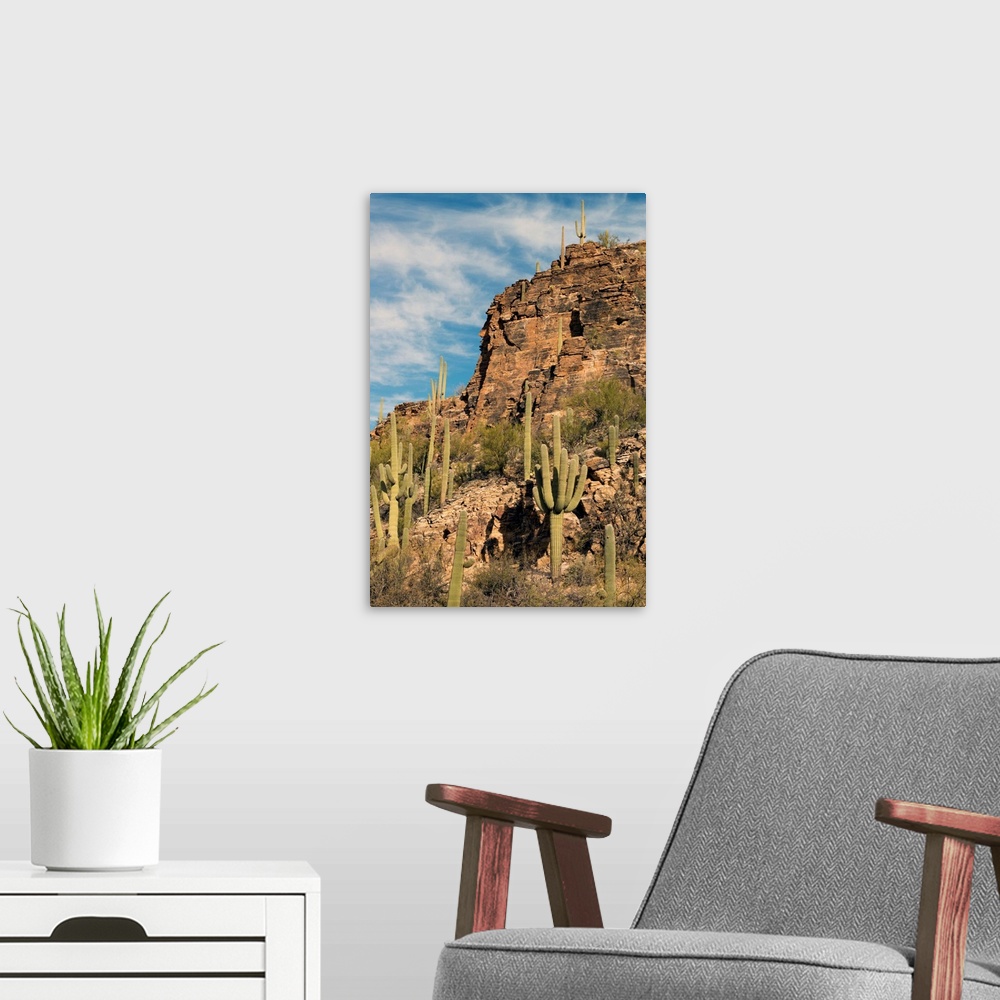 A modern room featuring Sabino Canyon, Tucson, Arizona, USA